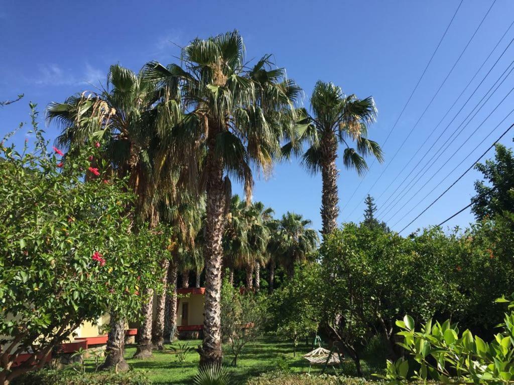 Oblomov Hotel Çıralı Dış mekan fotoğraf